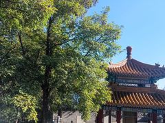 -北京西山国家森林公园