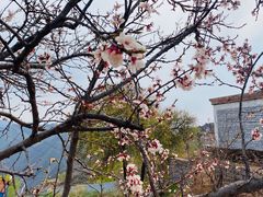 -云顶山风景区