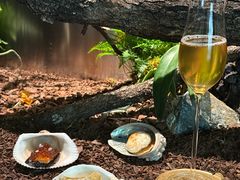 -曲廊院(东四十一条店)