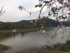 -水濂山水库景点停车场