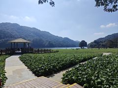 -广州市石门国家森林公园