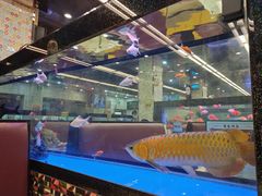 -新辉港式茶餐厅(北栅店)