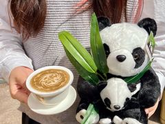 -蓉小乔·RONG COFFEE(春熙路店)