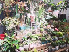 景观位-缦云里花园餐厅
