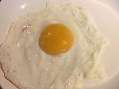 -上海外滩茂悦大酒店