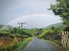 -帐篷客·溪龙茶谷度假酒店