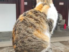 -西园戒幢律寺