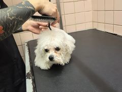 -FAELING PETS美天灵宠物(富力广场店)