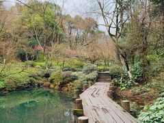 -杭州半山国家森林公园