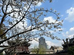 -老城隍庙食品商店(豫园商城店)