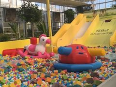 -南宫五洲植物乐园