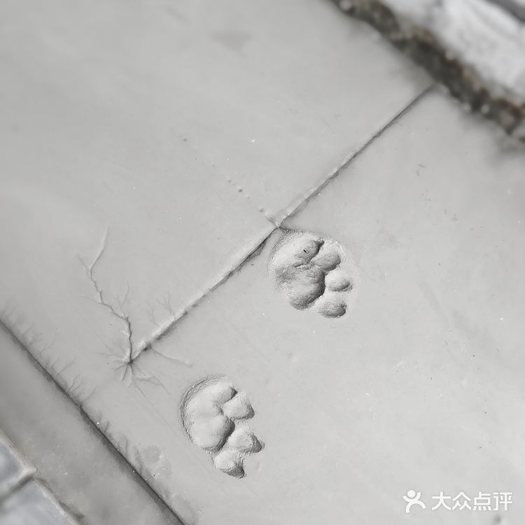 果儿鱼儿是间婚纱店,也是我们的家