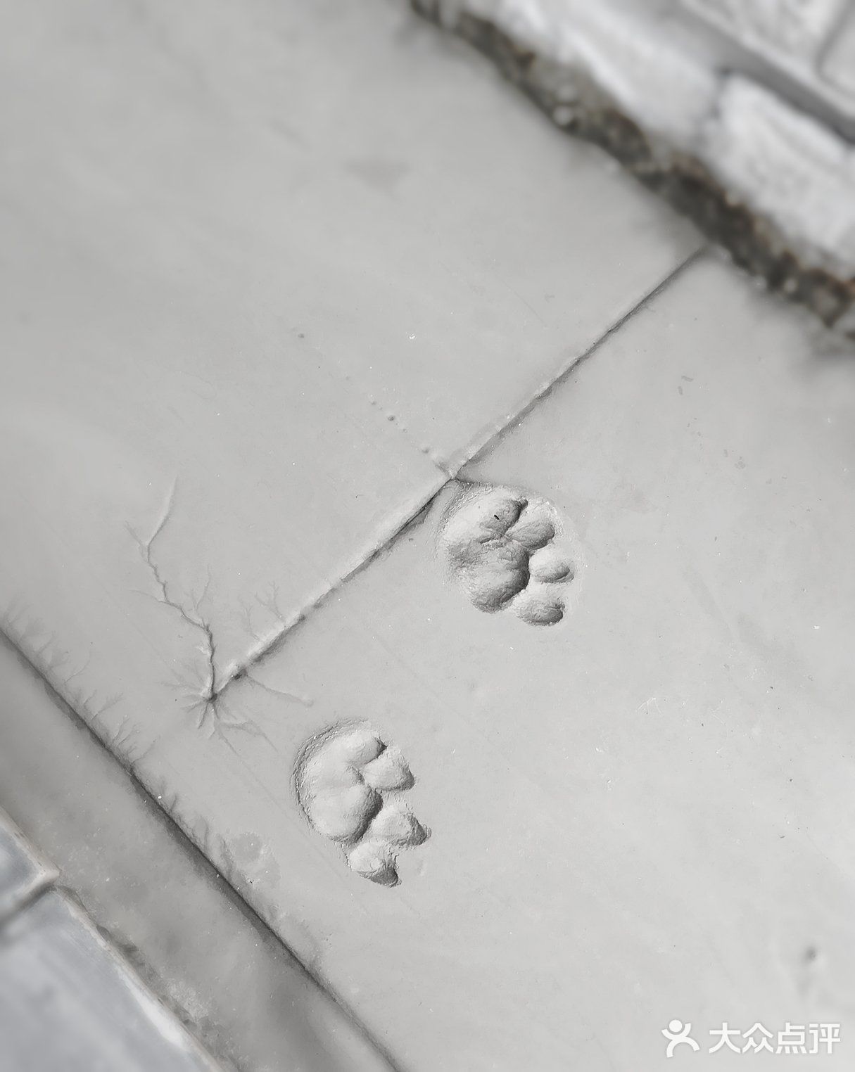 果儿鱼儿是间婚纱店，也是我们的家