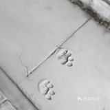 果儿鱼儿是间婚纱店，也是我们的家