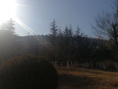 -济南奥林匹克体育中心体育场