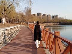 -丁香湖公园