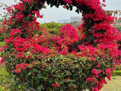 -东莞植物园