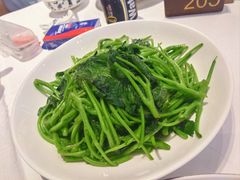 蒜蓉炒番薯苗-炳胜品味(珠江新城店)