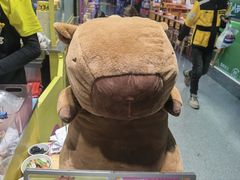 -乐乐姐超级土豆(中关村5号店)