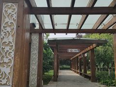 -木塔寺遗址生态公园