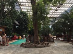 -龙达温泉生态城