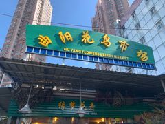 -曲阳花鸟市场(曲阳路店)