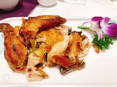 凯鸽风沙鸡-凯鸽酒楼(振兴街店)