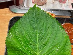-新石器烤肉(之心城店)