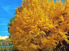 -浙江大学(玉泉校区)