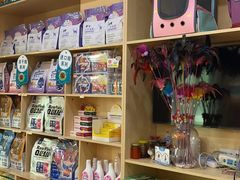 -千城康桥宠物医院·猫科·骨科·心脏