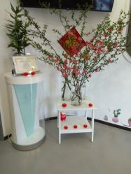 -联合丽格·张菡丽格医疗美容