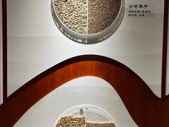 -中国中医科学院西苑医院(本部)