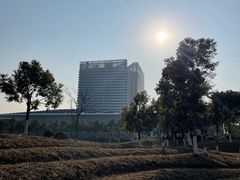 -春花秋色城市公园