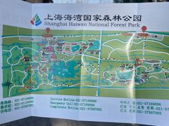 -上海海湾国家森林公园