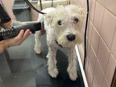 -FAELING PETS美天灵宠物(富力广场店)