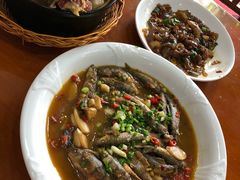 -全乐鱼馆·淳牌有机鱼直营店