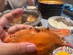 -一绪に寿喜烧(虹悦城店)