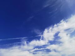 -大连熟食品交易中心
