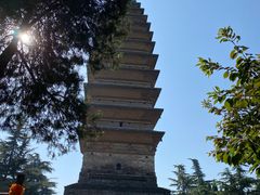 -洛阳白马寺