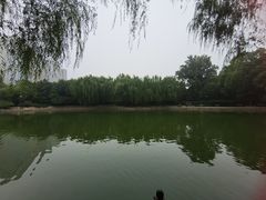 -团结湖公园