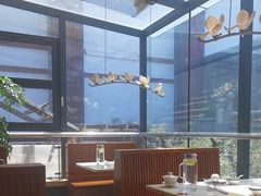 -唐猫庭院·千年陕菜(大唐不夜城店)