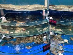 -蓝珊甄选海鲜自助·火锅大排档(近阿那亚店)