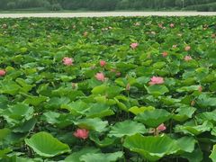 -云龙湖旅游景区