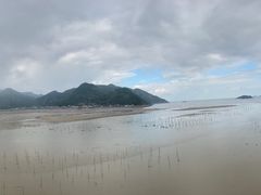 -北岐滩涂