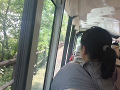 -巢湖姥山岛