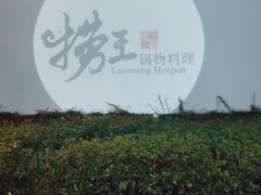 -捞王锅物料理(凯旋路店)