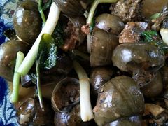 -生态苑农庄(十里画廊遇龙河店)