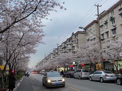 -永乐路-路侧停车场