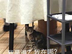 -濠轩阁特色生蚝火锅(水湾路店)