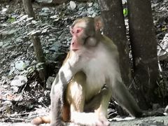 -北京上方山国家森林公园